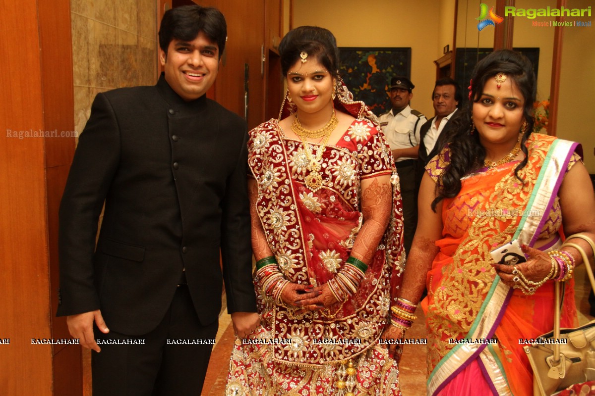 Reeti Agarwal-Pratik Modi Wedding Celebrations