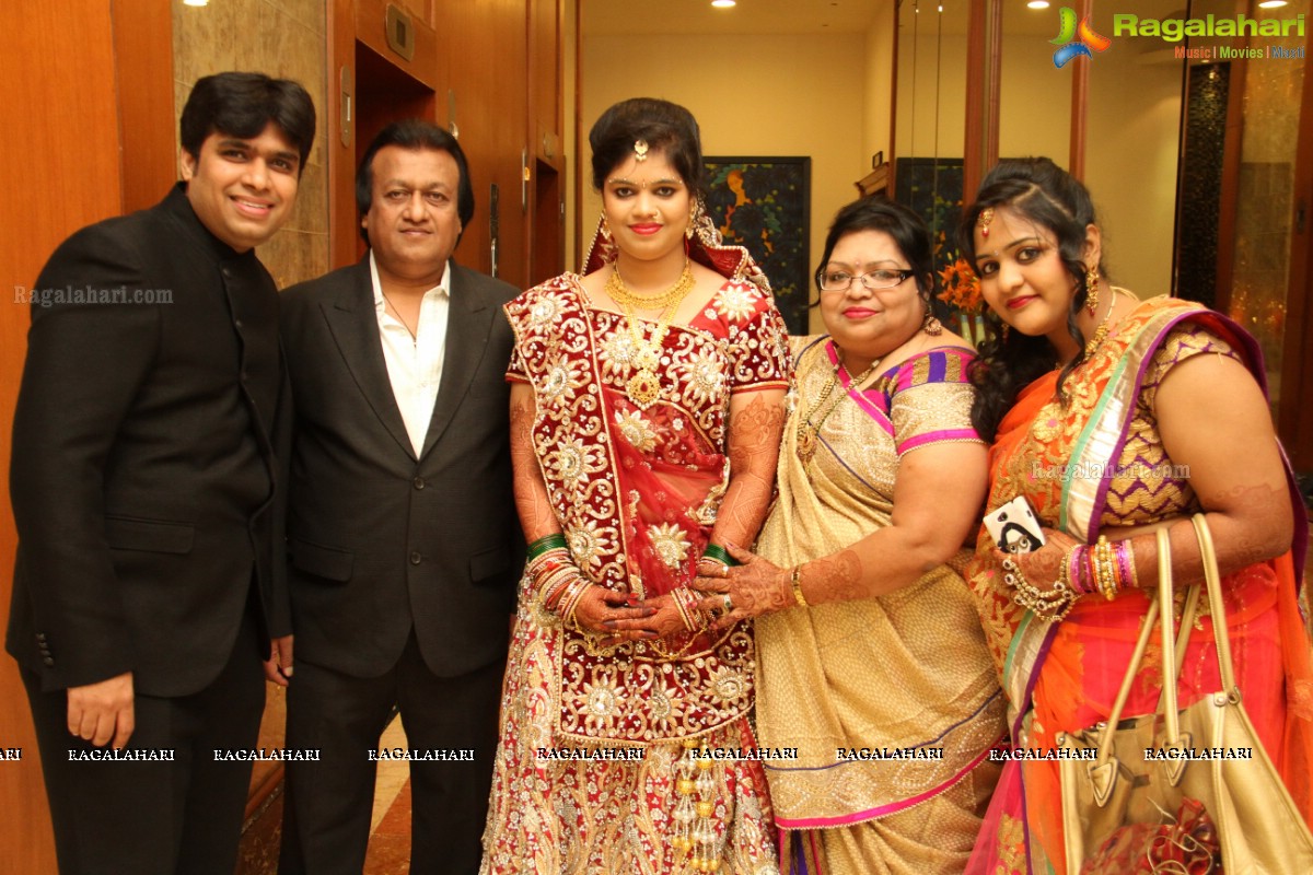 Reeti Agarwal-Pratik Modi Wedding Celebrations