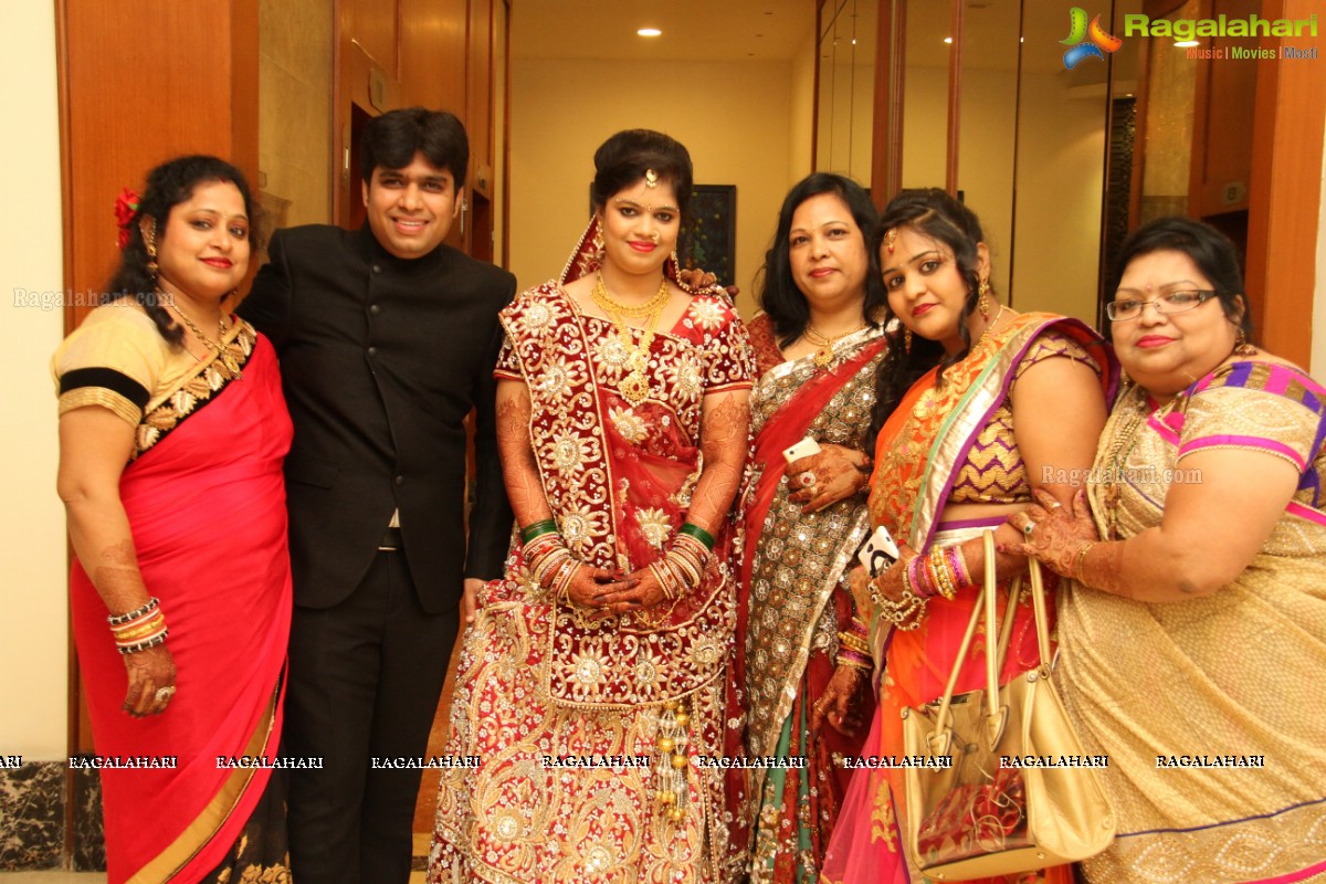 Reeti Agarwal-Pratik Modi Wedding Celebrations