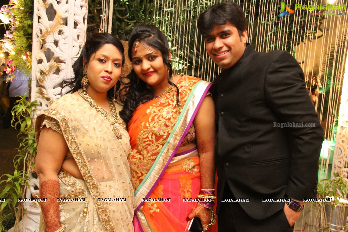 Reeti Agarwal-Pratik Modi Wedding Celebrations