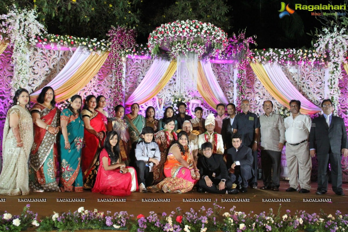 Reeti Agarwal-Pratik Modi Wedding Celebrations