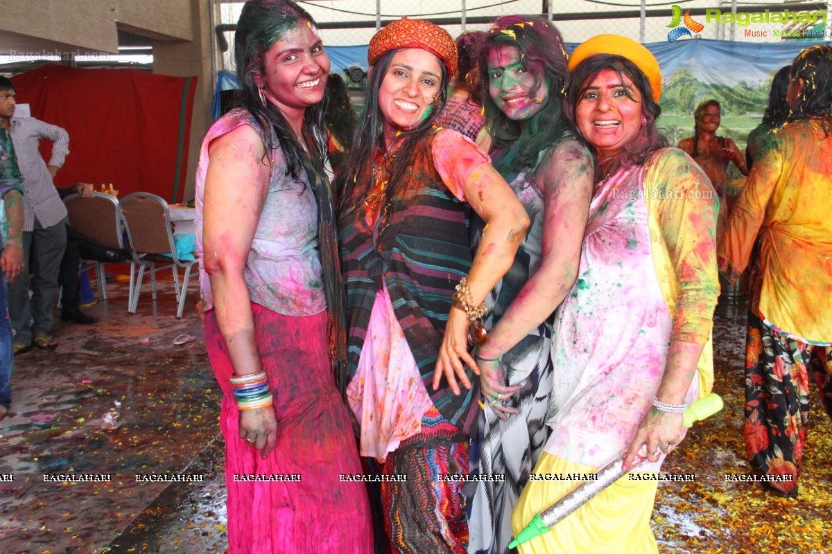 Samanvay Ladies Club Holi Bash 2015