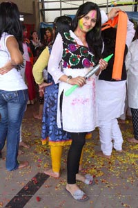 Holi Celebrations