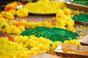 Holi Celebrations