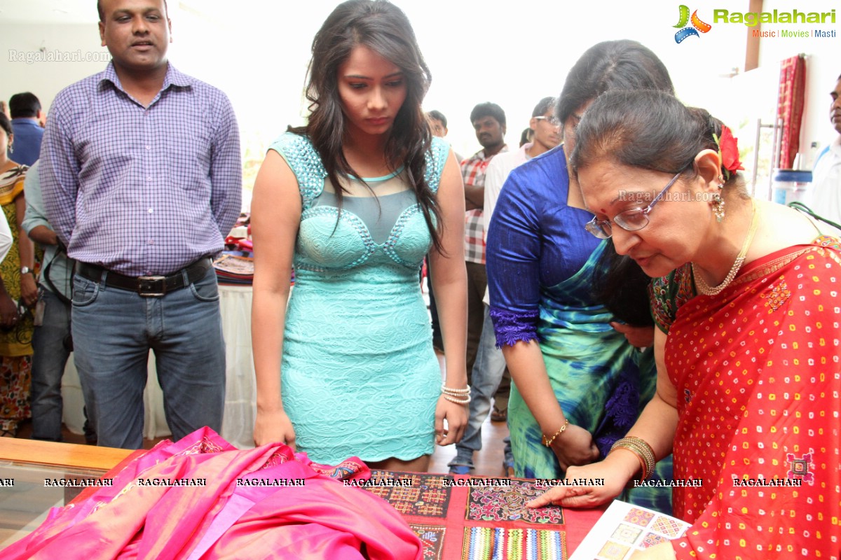 Shrujan 'Kutchhi Hand Embroidery' Expo (Feb. 2015)