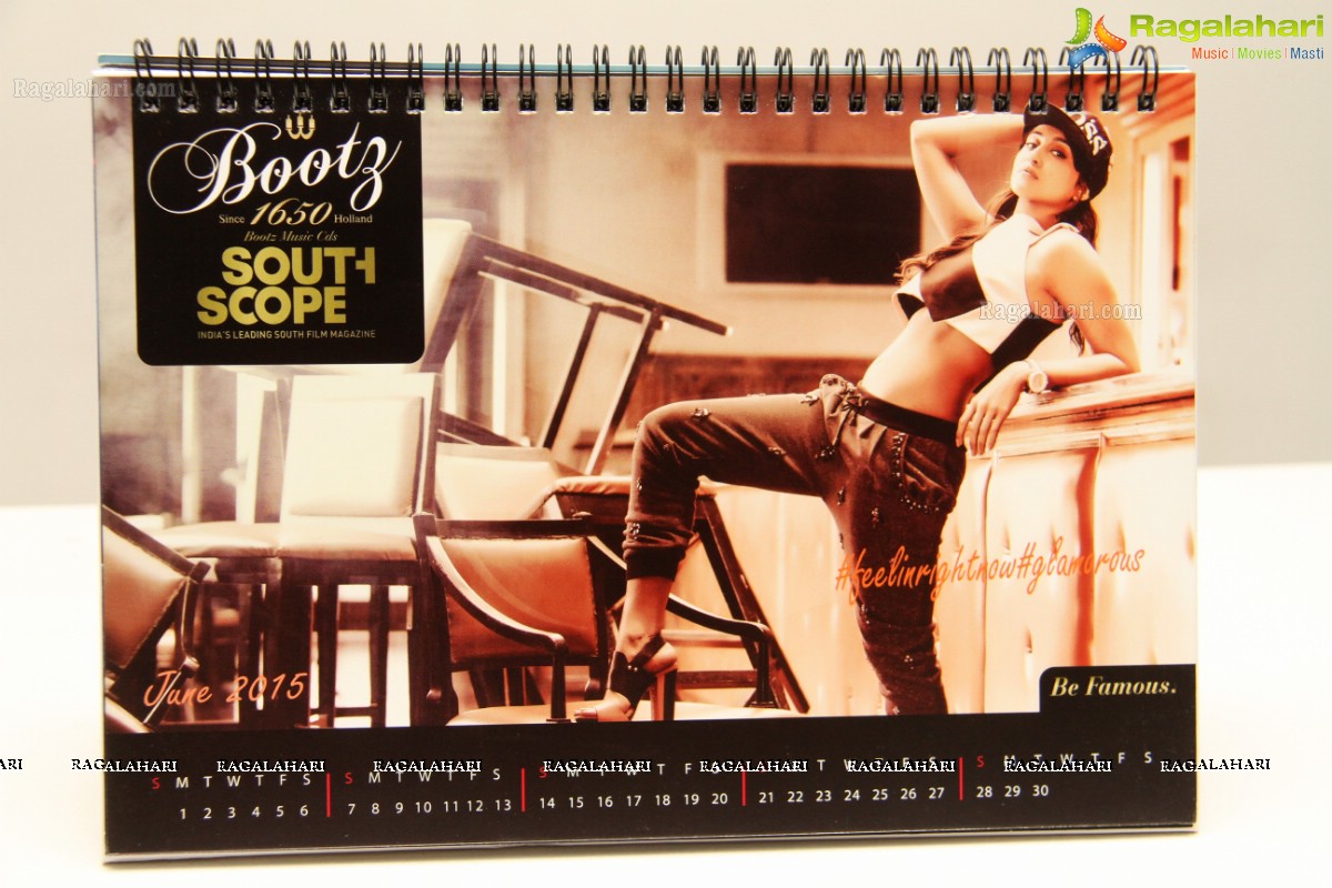 Southscope 2015 Calendar Launch