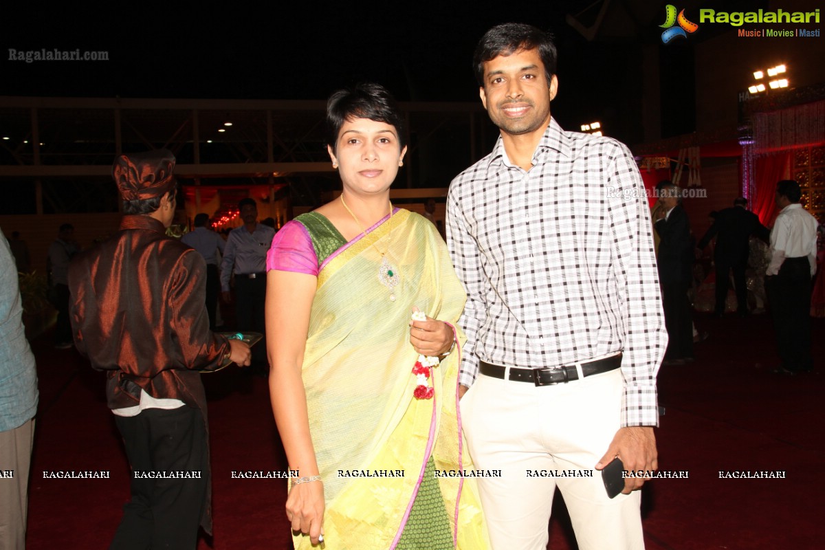 T Subbarami Reddy's Grandson Rajiv Wedding Celebrations