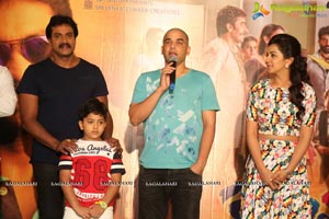 Krishashtami Success Meet