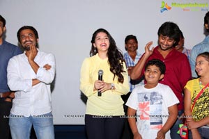 Krishna Gadi Veera Prema Gadha Success Tour