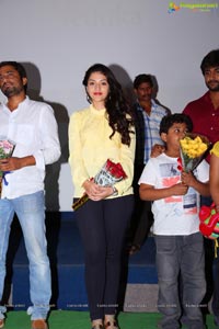 Krishna Gadi Veera Prema Gadha Success Tour