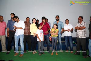 Krishna Gadi Veera Prema Gadha Success Tour