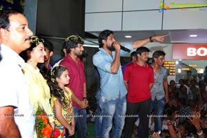 Krishna Gadi Veera Prema Gadha Success Tour