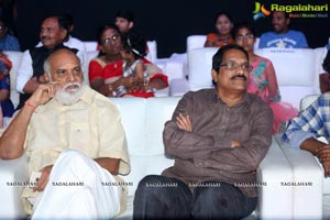 Oopiri Audio Release Photos