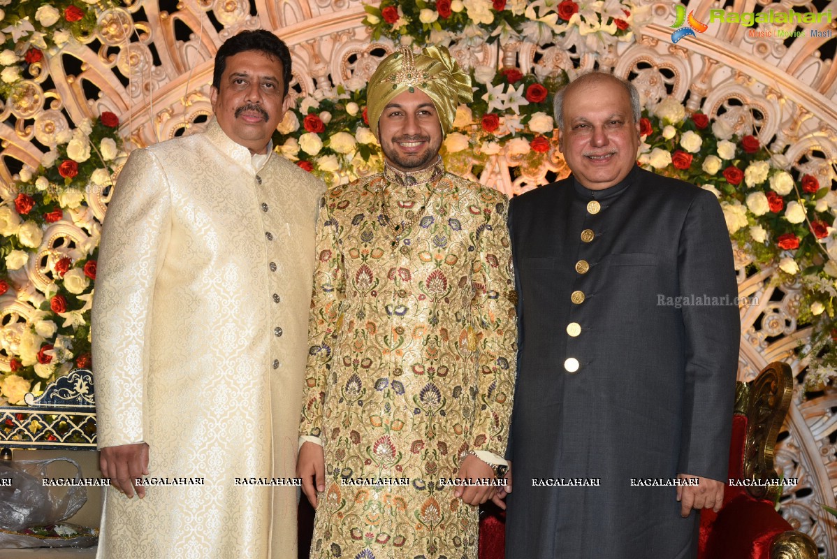 Wedding Reception of Aamer Javeed - Ruba Khan, Hyderabad