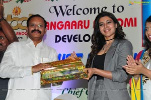 Bangaaru Bhoomi Developers