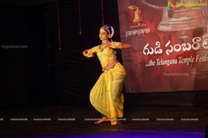 Gudi Sambaralu 2016