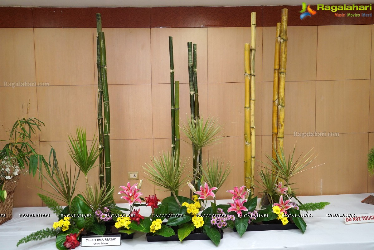 Ikebana Festival at Paryatak Bhavan