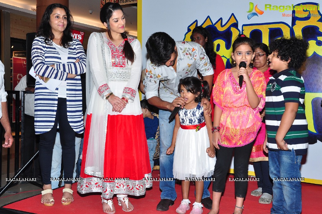 Krishna Gaadi Veera Prema Gaadha Team at Inorbit Mall, Hyderabad