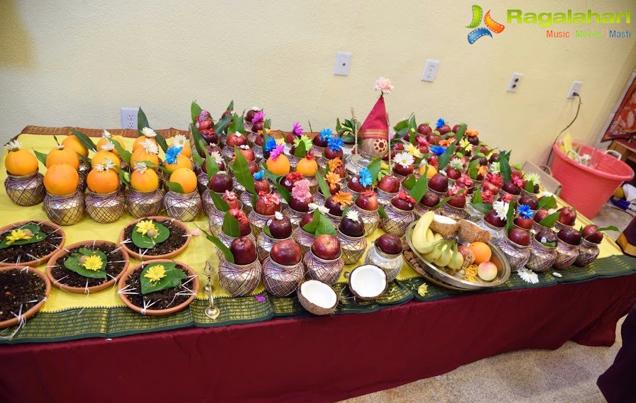 Kumbhabhishekam at Sri Satyanarayana Swamy Devasthanam (Veda Temple), Milpitas, CA