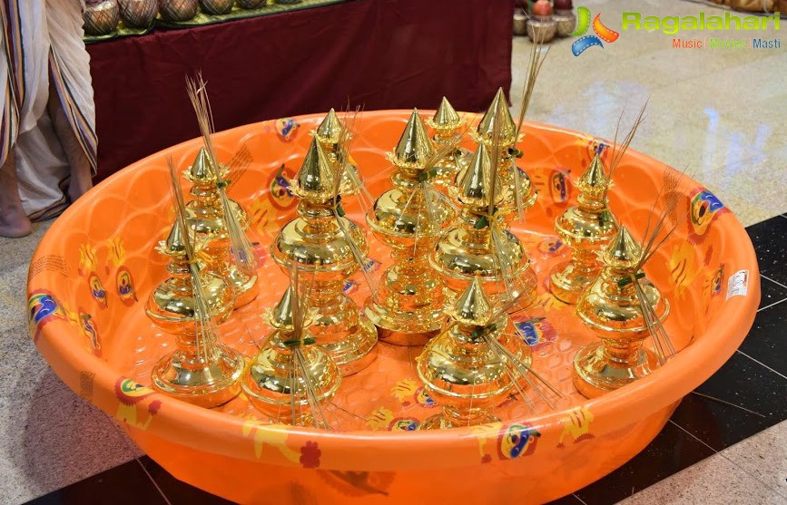 Kumbhabhishekam at Sri Satyanarayana Swamy Devasthanam (Veda Temple), Milpitas, CA