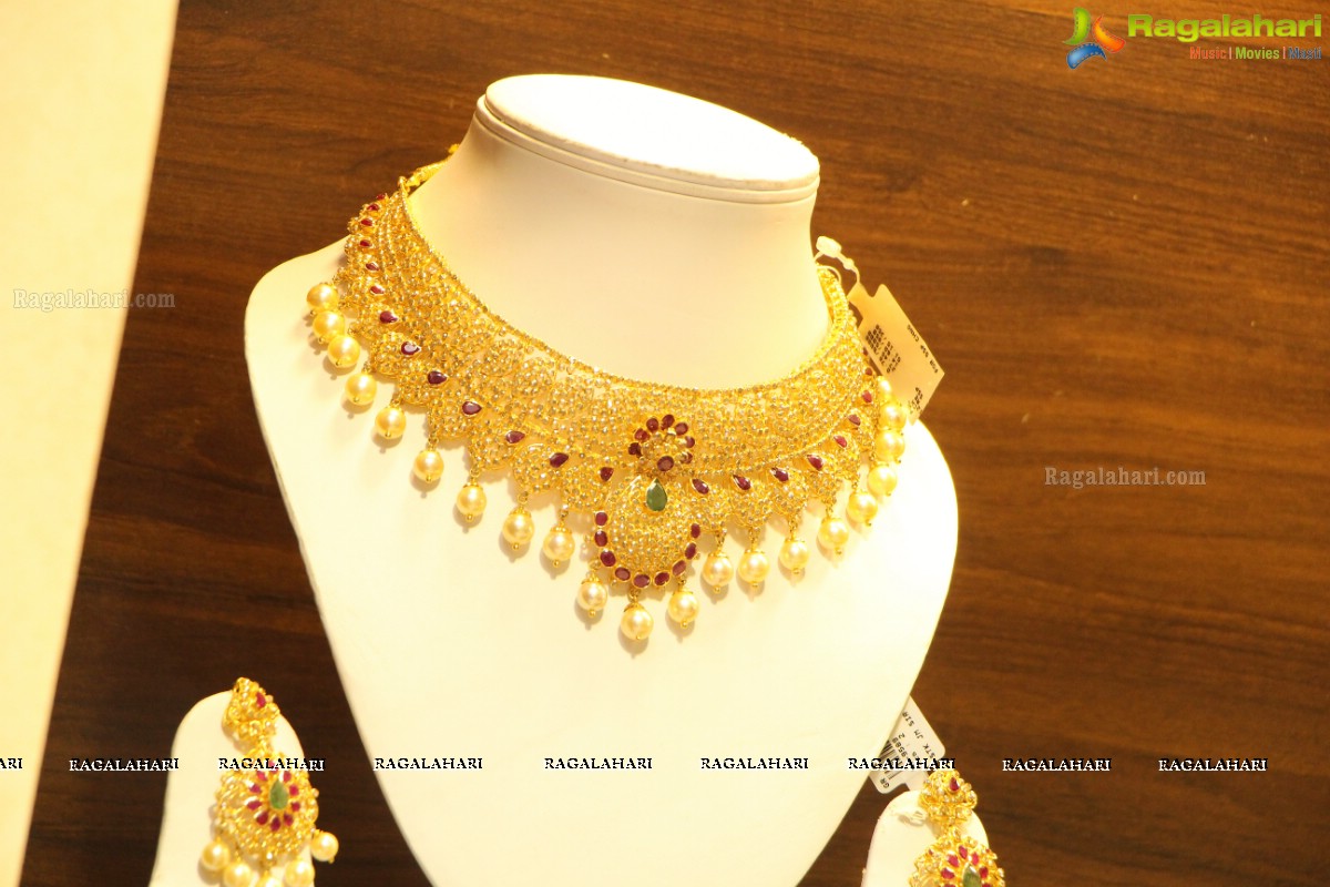 5th Edition of Times Gehena Jewellery and Garment Exhibition 2016