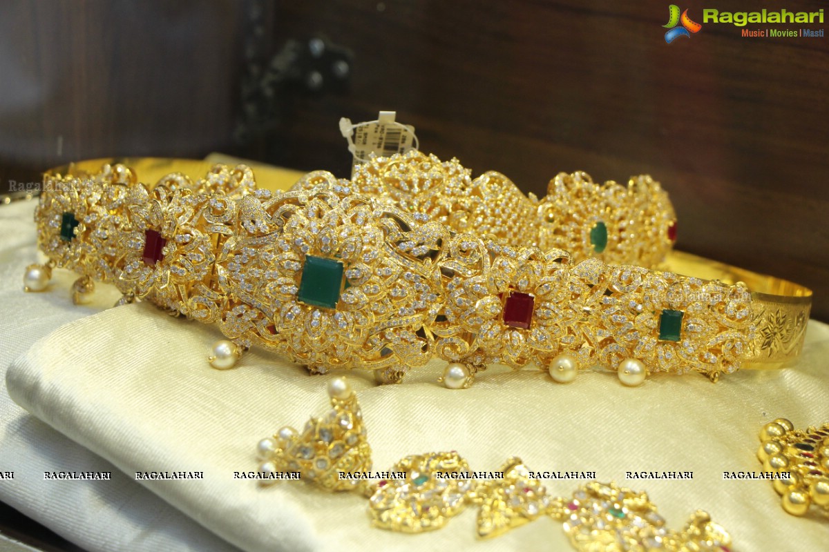 5th Edition of Times Gehena Jewellery and Garment Exhibition 2016