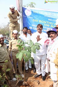 Tree Plantation Drive