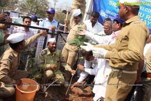 Tree Plantation Drive