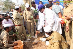 Tree Plantation Drive