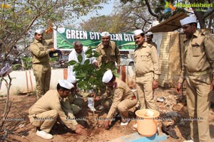 Tree Plantation Drive