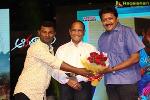 Aakatayi Audio Release