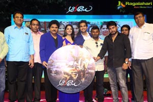 Aakatayi Audio Release