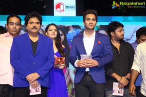 Aakatayi Audio Release