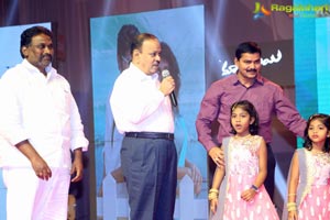 Maa Abbayi Audio Release