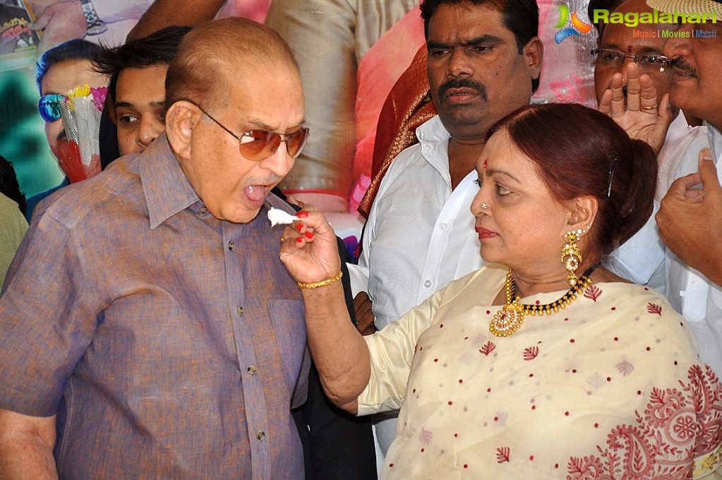 Vijaya Nirmala 2017 Birthday Celebrations