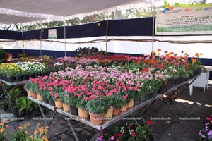 Horticulture Expo 2017