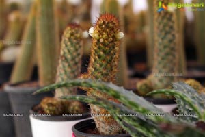 Horticulture Expo 2017