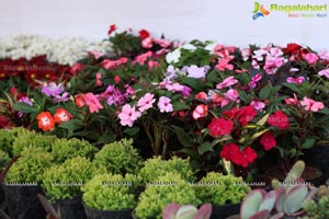 Horticulture Expo 2017