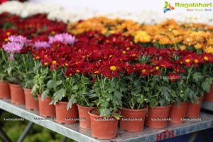 Horticulture Expo 2017