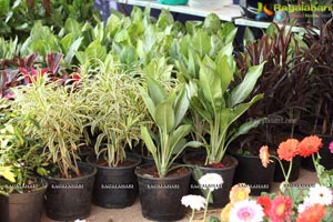 Horticulture Expo 2017