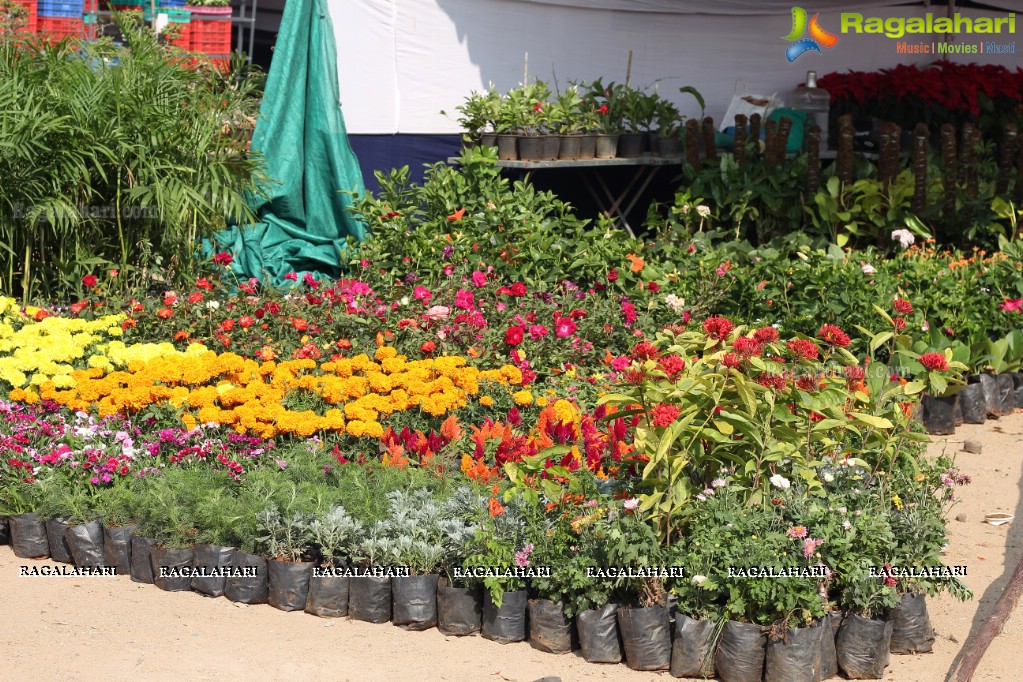 Horticulture Expo 2017 at People's Plaza, Hyderabad