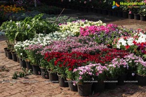 Horticulture Expo 2017