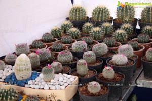 Horticulture Expo 2017