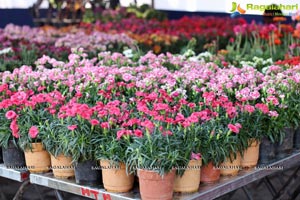 Horticulture Expo 2017