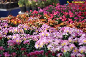 Horticulture Expo 2017