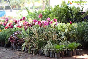 Horticulture Expo 2017