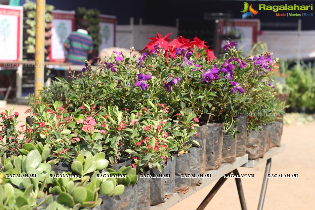 Horticulture Expo 2017 at People's Plaza, Hyderabad