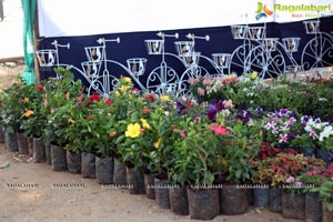 Horticulture Expo 2017