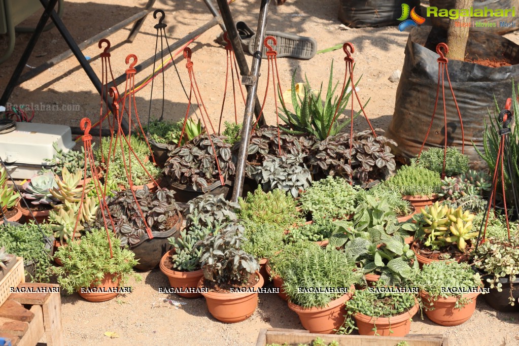 Horticulture Expo 2017 at People's Plaza, Hyderabad