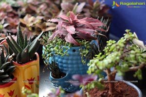 Horticulture Expo 2017